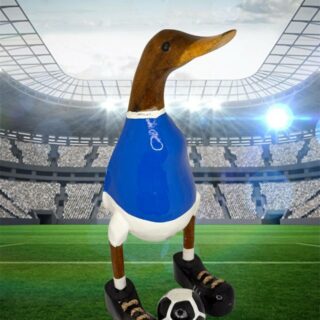 Fußball Laufenten NR.28 SV DARMSTADT 98