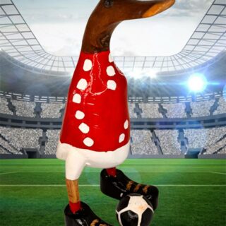 Fußball Laufenten NR.5 FSV MAINZ 05